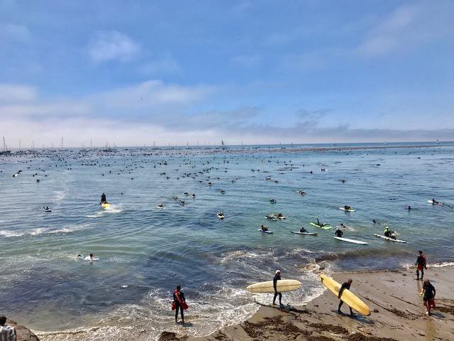 Santa Cruz surf