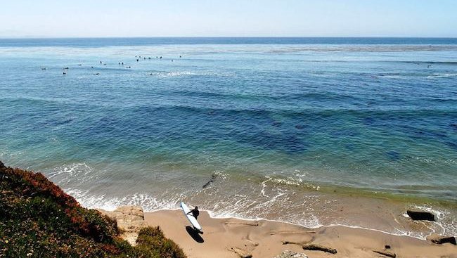 East Cliff Santa Cruz surfer