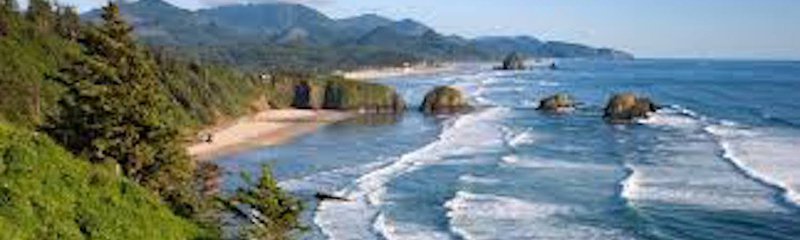 Explore Olive Beach on the Oregon Coast
